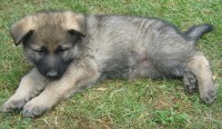 /album/brixie/snimek-120-1-jpg/